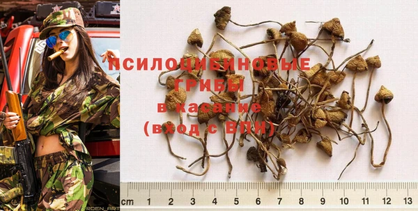 гидра Баксан