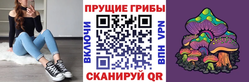 Псилоцибиновые грибы GOLDEN TEACHER  купить наркотик  Стародуб 